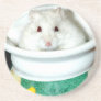Albino Hamster Photo Beverage Coaster