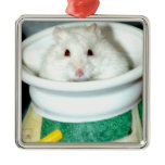 Albino Hamster Photo Christmas Ornament