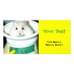 Albino Hamster Photo Custom Photo Card