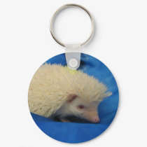 albino hedgehog keychain