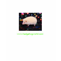 Albino hedgehog t-shirt by hedgehogworld Albino hedgehog t-shirt