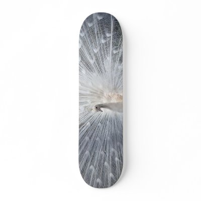 Skate do pavão do albino por ValkyrieZephyr