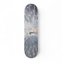 Albino peacock skateboard by ValkyrieZephyr Albino peacock skateboard