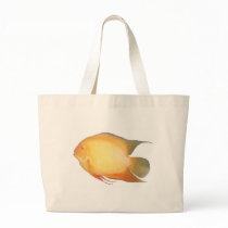 Albino Severum bags by Lisachromis Albino Severum bags