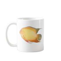 Severum do albino canecas by Lisachromis Severum do albino canecas