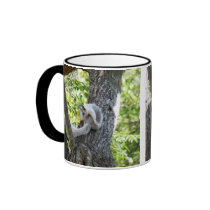 Caneca do esquilo do albino canecas by lisawilliamsgifts Caneca do esquilo do albino canecas