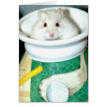 Albino White Hamster Greeting/Note Cards
