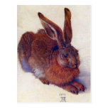 Albrecht Durer - Field Hare GC Post Card