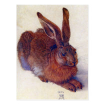 Albrecht Durer - Field Hare GC postcards