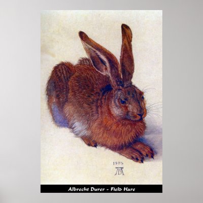 Hare By Durer