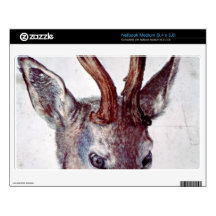 Albrecht Durer - Head of a deer Decals For Netbooks