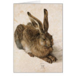 Albrecht Dürer - Junger Hase (Young Hare), 1502 Cards