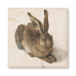 Albrecht Dürer - Junger Hase (Young Hare), 1502 Magnet