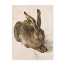 Albrecht Dürer - Junger Hase (Young Hare), 1502 Postcards