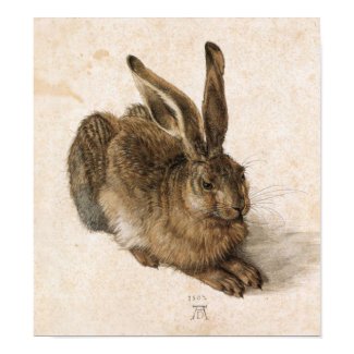 Albrecht Dürer - Junger Hase (Young Hare), 1502 print