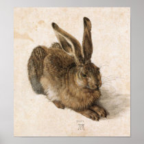 Albrecht Dürer - Junger Hase (Young Hare), 1502 Posters