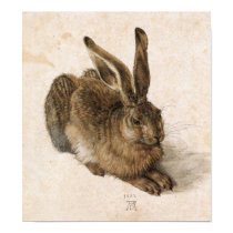Albrecht Dürer - Junger Hase (Young Hare), 1502 Posters