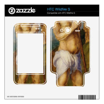 Albrecht Durer - St Onophrius HTC Wildfire S Decals