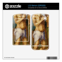 Albrecht Durer - St Onophrius Skins For The LG Xenon