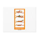 Albright Knot Postcard