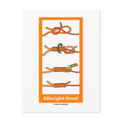 Albright Knot Post Card by wordsunwords
