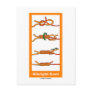 Albright Knot Post Card