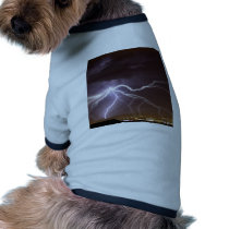 Albuquerque Hellstorm pet clothing