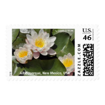 Albuquerque, New Mexico, USA Stamp