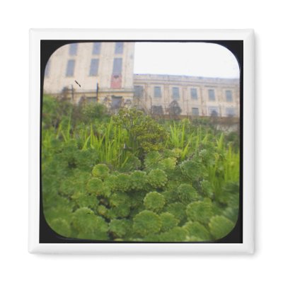 alcatraz island 1 refrigerator magnets by kinymccarrick