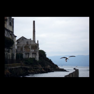 Alcatraz Poster by copywriteink