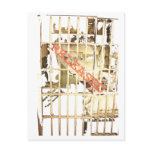 Alcatraz, released postcards
