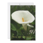 Alcatraz-Tepotzotlan Painterly Personalized Invitation