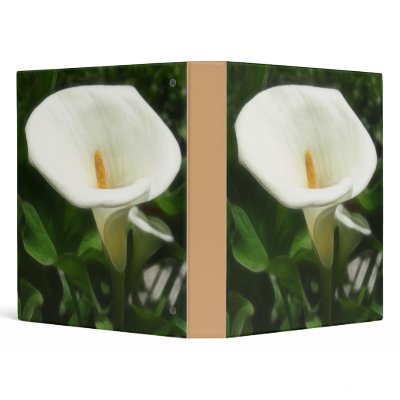 Alcatraz-Tepotzotlan Silky Binders by LivingNature