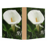 Alcatraz-Tepotzotlan Silky binders
