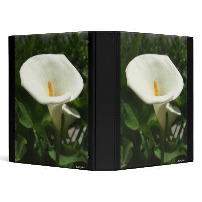 Alcatraz-Tepotzotlan Simple Vinyl Binders by LivingNature