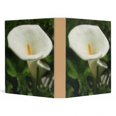 Alcatraz-Tepotzotlan Watercolor 3 Ring Binders by LivingNature