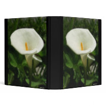 Alcatraz-Tepotzotlan Watercolor 3 Ring Binders