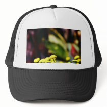 Alcazar Garden In Balboa Park hats