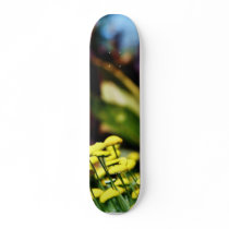 Alcazar Garden In Balboa Park skateboards by lifesphere Alcazar Garden In Balboa Park skateboards