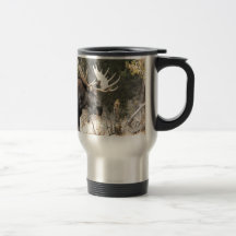 Alces de Bull Tazas De Café