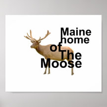 Alces de Maine Impresiones