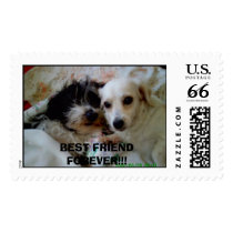 alchem & dhelaila  BEST FRIEND FOREVER!!! postage