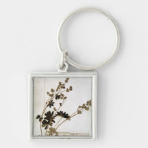 Alchemilla, from a Herbarium Keychains