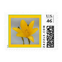 Alchemy postage