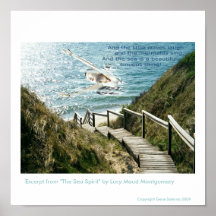 Alcohol del mar de Cape Cod Posters
