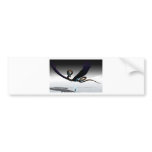 Alcorn - the Flying Serpent V9 Bumper Sticker