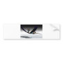 Alcorn - the Flying Serpent V9 Bumper Sticker