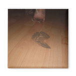 Aleda dirtyfeet Magnet