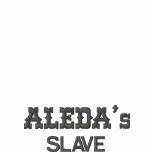 Aleda's slave Embroidered Shirt