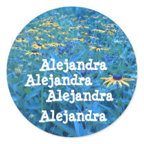 Alejandra,...name sticker
